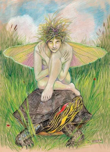 Faerie with red-eared slider